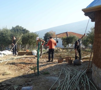 Επεξεργασία καλαμιών για την επένδυση της οροφής και της στέγης 